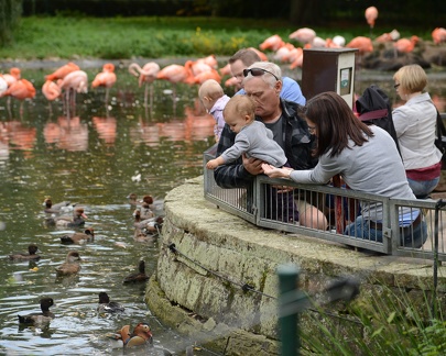feeding the duck with grandpa9